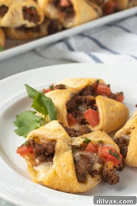 Fiesta Pockets 3 Taco Pockets