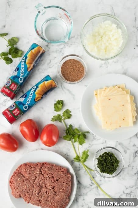 Fiesta Pockets 4 Ingredients for Taco Pockets