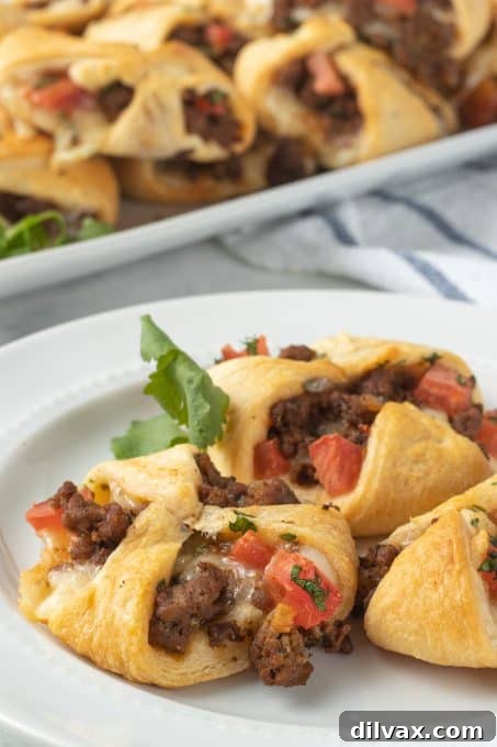 Fiesta Pockets 9 Crescent dough taco wraps.