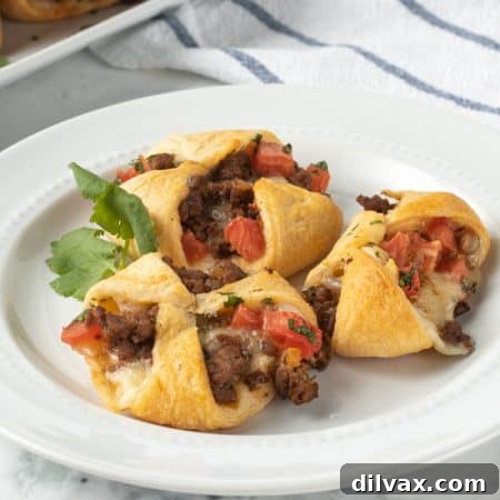 Fiesta Pockets 10 Taco seasoned meat with tomatoes and cheese in crescent dough.