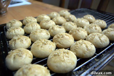 Unwrapping the Flavor: My 12 Days of Cookie Review 5 Traditional Greek Honey-Walnut Cookies, Melomakarona, garnished with nuts