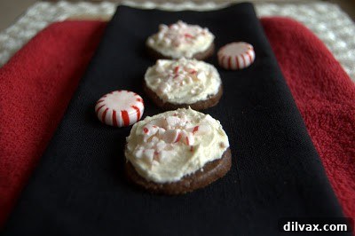 Unwrapping the Flavor: My 12 Days of Cookie Review 7 Rich Chocolate Peppermint Frosted Cookies with a thick layer of frosting