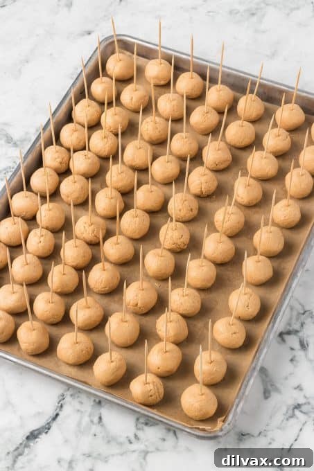 Perfectly rolled peanut butter balls with toothpicks inserted, ready for chilling.