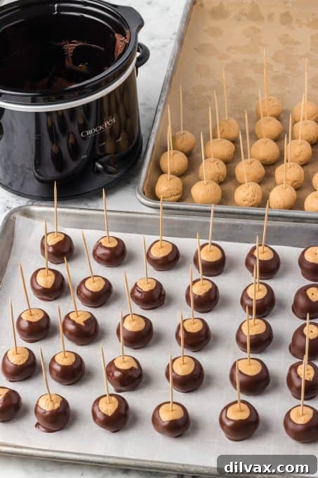 A hand dipping a peanut butter ball into melted chocolate, showcasing the classic buckeye method.