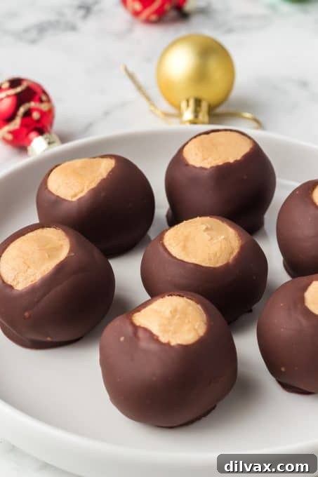A beautifully arranged platter of Christmas Buckeyes, featuring various decorations like sprinkles and chopped nuts.