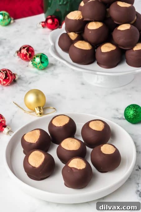 A close-up shot of a single Christmas Buckeye, showcasing the smooth chocolate and vibrant sprinkles.