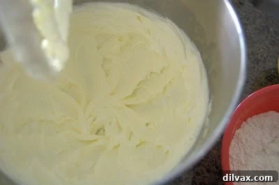 Butter and shortening being creamed in an electric mixer.