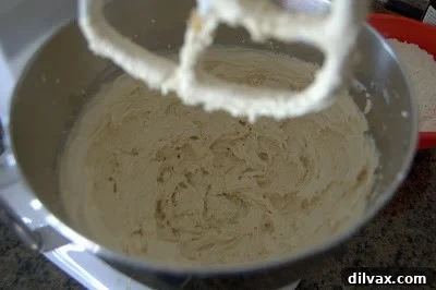 Sugars added to creamed butter and shortening in a mixer.
