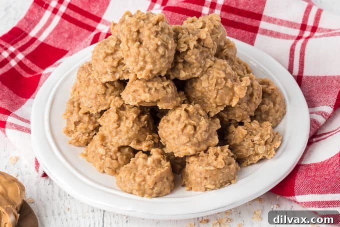 Delicious No Bake Peanut Butter Cookies arranged on a plate.
