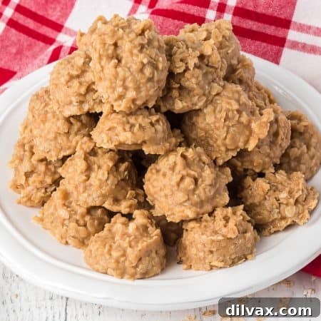 No Bake Peanut Butter Cookies