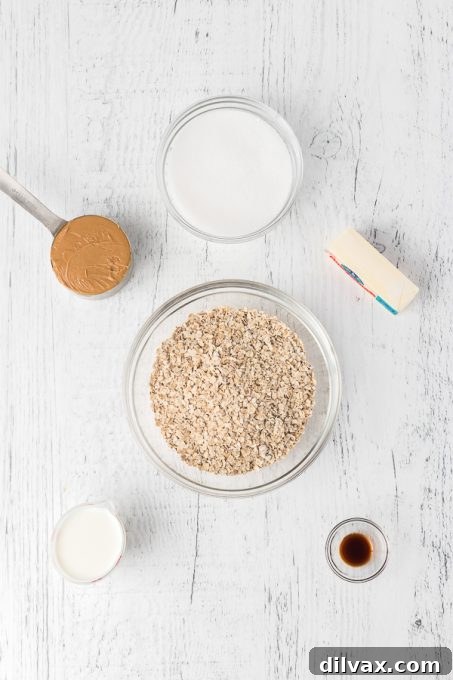 Ingredients for No Bake Peanut Butter Cookies laid out.