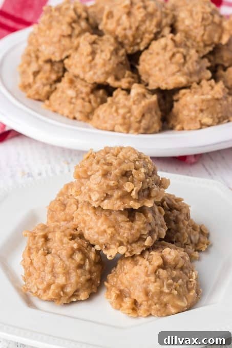 A plate of no bake cookies crafted with oats and peanut butter, ready to be enjoyed.