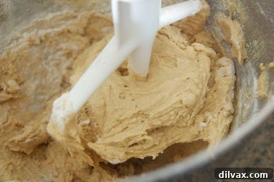 Adding dry ingredients to wet cookie dough mixture