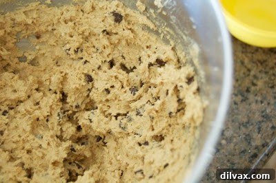 Stirring in oats and chocolate chips into cookie dough