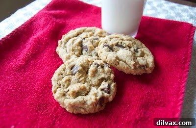 Freshly baked Peanut Butter Oatmeal Chocolate Chip Cookies on a baking sheet