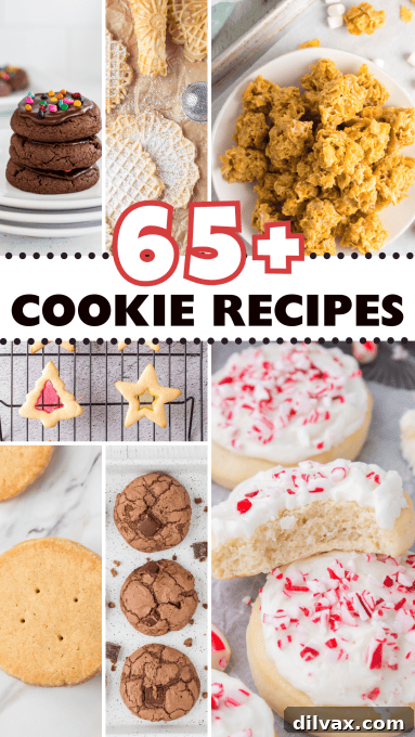 65+ Cookie Recipes from 365 Days of Baking and More.