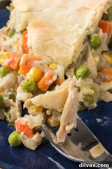 Comforting Turkey Pot Pie 11 A final, beautifully baked Turkey Pot Pie.