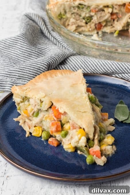 Comforting Turkey Pot Pie 7 A whole Turkey Pot Pie, golden and bubbly.