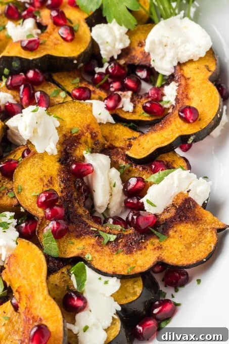 Tangy Roasted Acorn Squash with Goat Cheese 8 Plated baked acorn squash, goat cheese, and pomegranate arils.