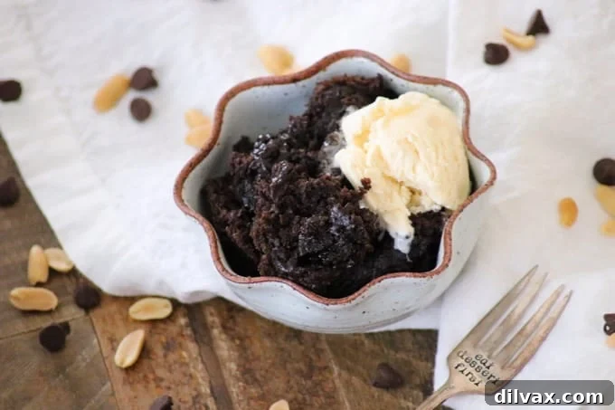A rich Chocolate Peanut Butter Pudding Cake from the Holiday Slow Cooker cookbook, a simple yet delicious slow cooker dessert.
