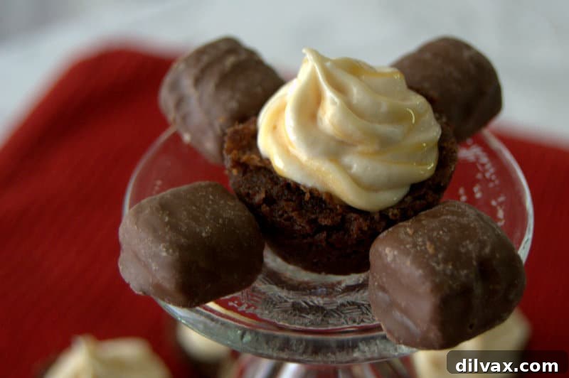 Display of a TWIX Bites Brownie with rich chocolate caramel frosting on a white plate.