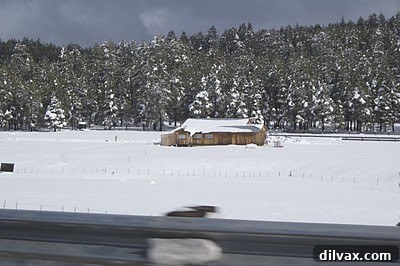 Peppermint Vanilla Bean Double Chocolate Delights 11 Snowy mountains in Arizona