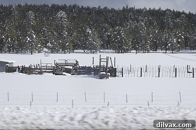 Peppermint Vanilla Bean Double Chocolate Delights 12 Sunny road leading to snowy Arizona mountains