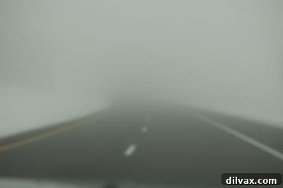 Peppermint Vanilla Bean Double Chocolate Delights 13 Foggy mountain road with limited visibility in Arizona
