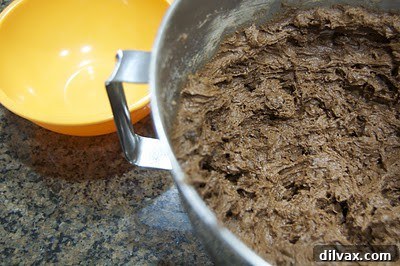 Peppermint Vanilla Bean Double Chocolate Delights 4 Stack of Double Chocolate Peppermint Sandwich Cookies