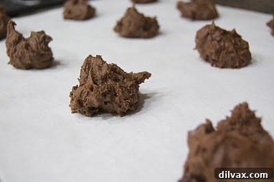 Peppermint Vanilla Bean Double Chocolate Delights 5 Double Chocolate Peppermint Sandwich Cookie, partially eaten