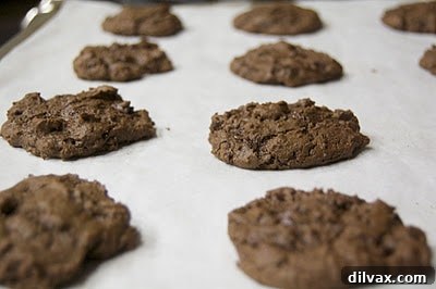 Peppermint Vanilla Bean Double Chocolate Delights 6 Plate of assorted Double Chocolate Peppermint Sandwich Cookies