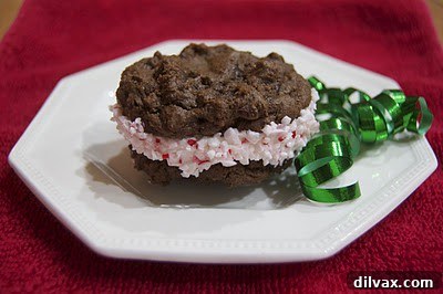 Peppermint Vanilla Bean Double Chocolate Delights 7 A tray of freshly baked chocolate cookies
