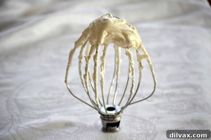 Peppermint Vanilla Bean Double Chocolate Delights 8 Bowl of Stabilized Whipped Cream