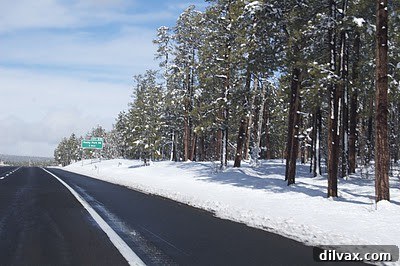 Peppermint Vanilla Bean Double Chocolate Delights 10 Pile of snow on a road in Arizona