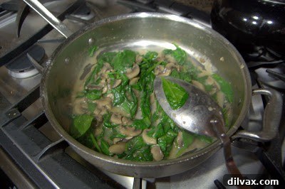 Savory Butternut Chicken Pinwheels on Sautéed Spinach with a Rich White Wine Mushroom Sauce 17 img 351 16