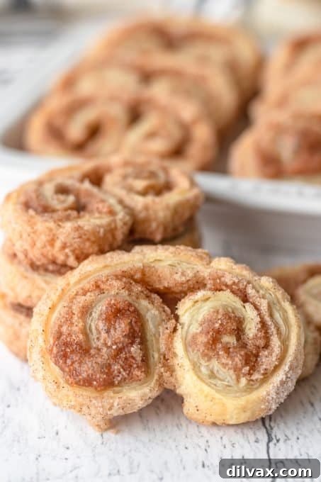 Close-up of baked Cinnamon Sugar Palmiers, showing flaky layers