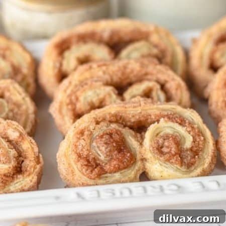 Cinnamon Sugar Palmiers, aka Elephant Ears
