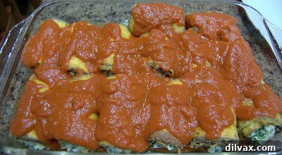 Eggplant rollatini covered with sauce