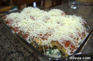 Eggplant rollatini topped with mozzarella cheese