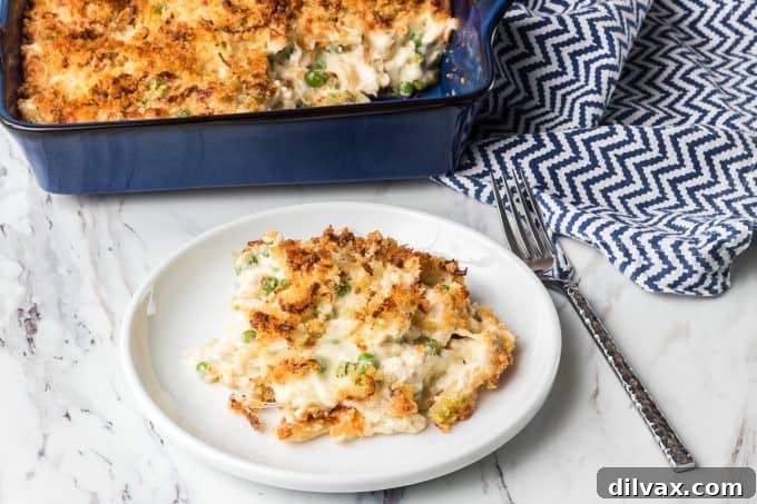 Chicken Alfredo Casserole with golden-brown topping
