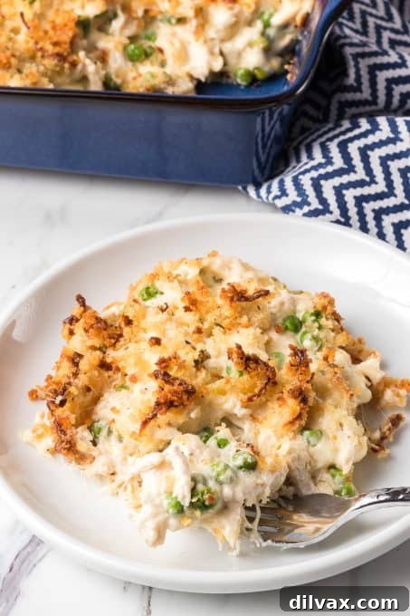 A large Creamy Alfredo Chicken Casserole in a baking dish