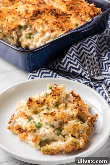 Baked Alfredo casserole with chicken, ready to serve