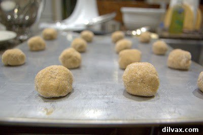 Raw Ginger Chewies dough balls rolled in sugar, neatly placed on a baking sheet