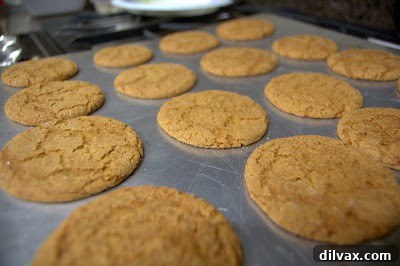Freshly baked Ginger Chewies with distinct crackles, cooling on a baking sheet after baking