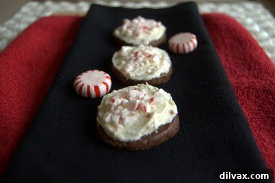Festive Chocolate Peppermint Frosted Delights 2 Delicious chocolate peppermint frosted cookie with crushed candy cane topping, perfect for holiday celebrations.