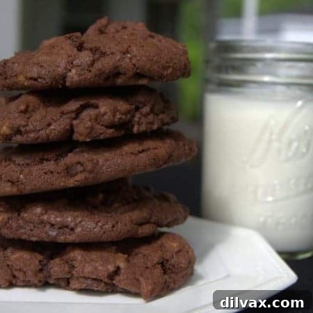 Double Chocolate Toffee Cookies - rich chocolate cookies with dark chocolate chips and crunchy bits of toffee candy.