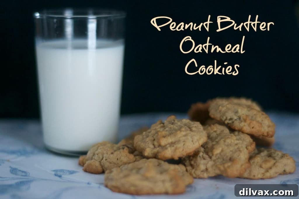 An old-time favorite, the oatmeal raisin cookie, with the great taste of peanut butter and raisins!