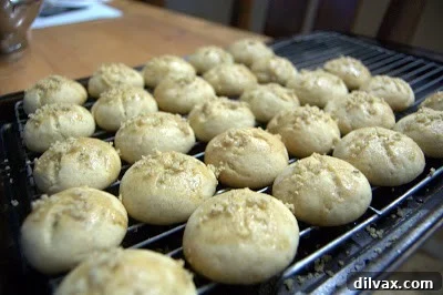 Freshly baked Greek Honey-Walnut Cookies cooling on a rack