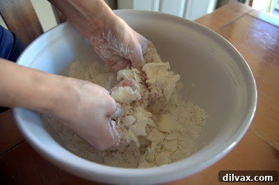 Flour mixture being mixed with butter and shortening to form a coarse meal