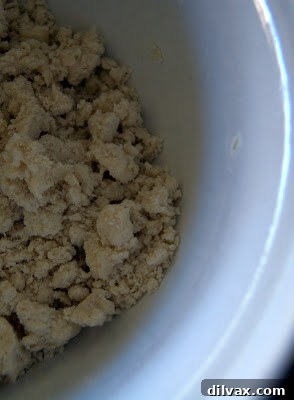 Closer view of the coarse meal dough mixture
